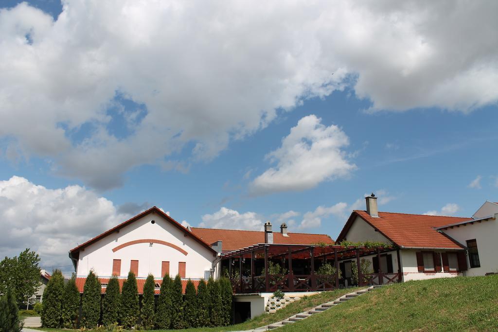 Hotel Tiffán's Pincészet és Panzió Villány Esterno foto